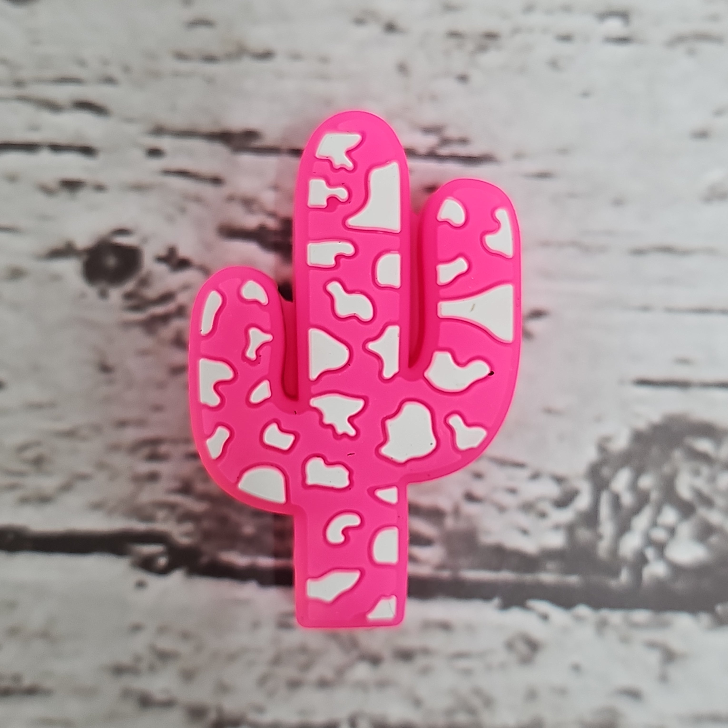 Cactus Cow Print Focal