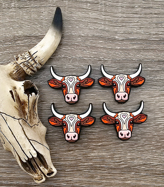 Longhorn Cow Focal