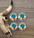 Take Care of Our Planet Focal