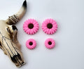 Sunflower Daisy Bright Pink Focal