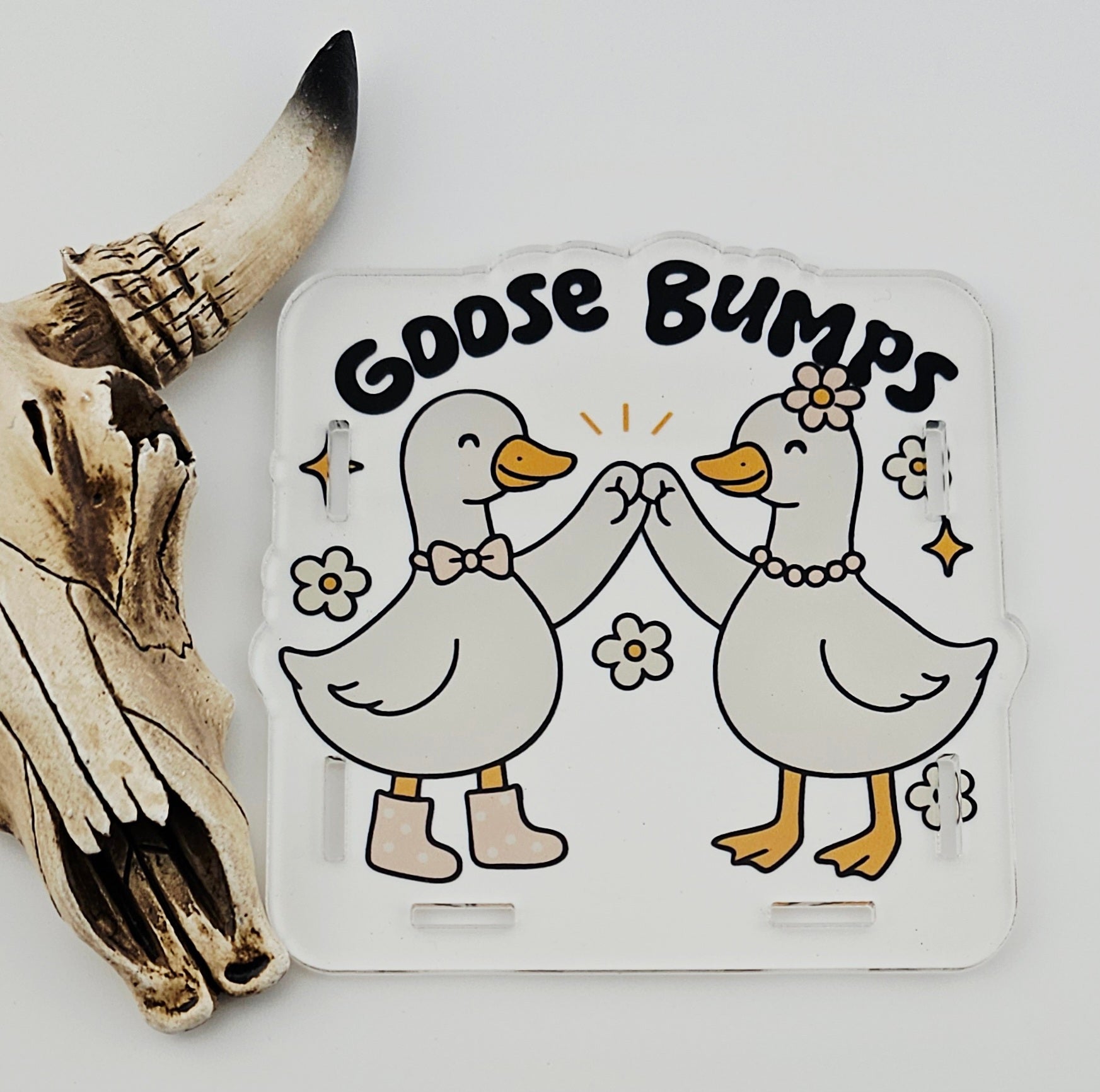 Pen Box Goose Bumps 19