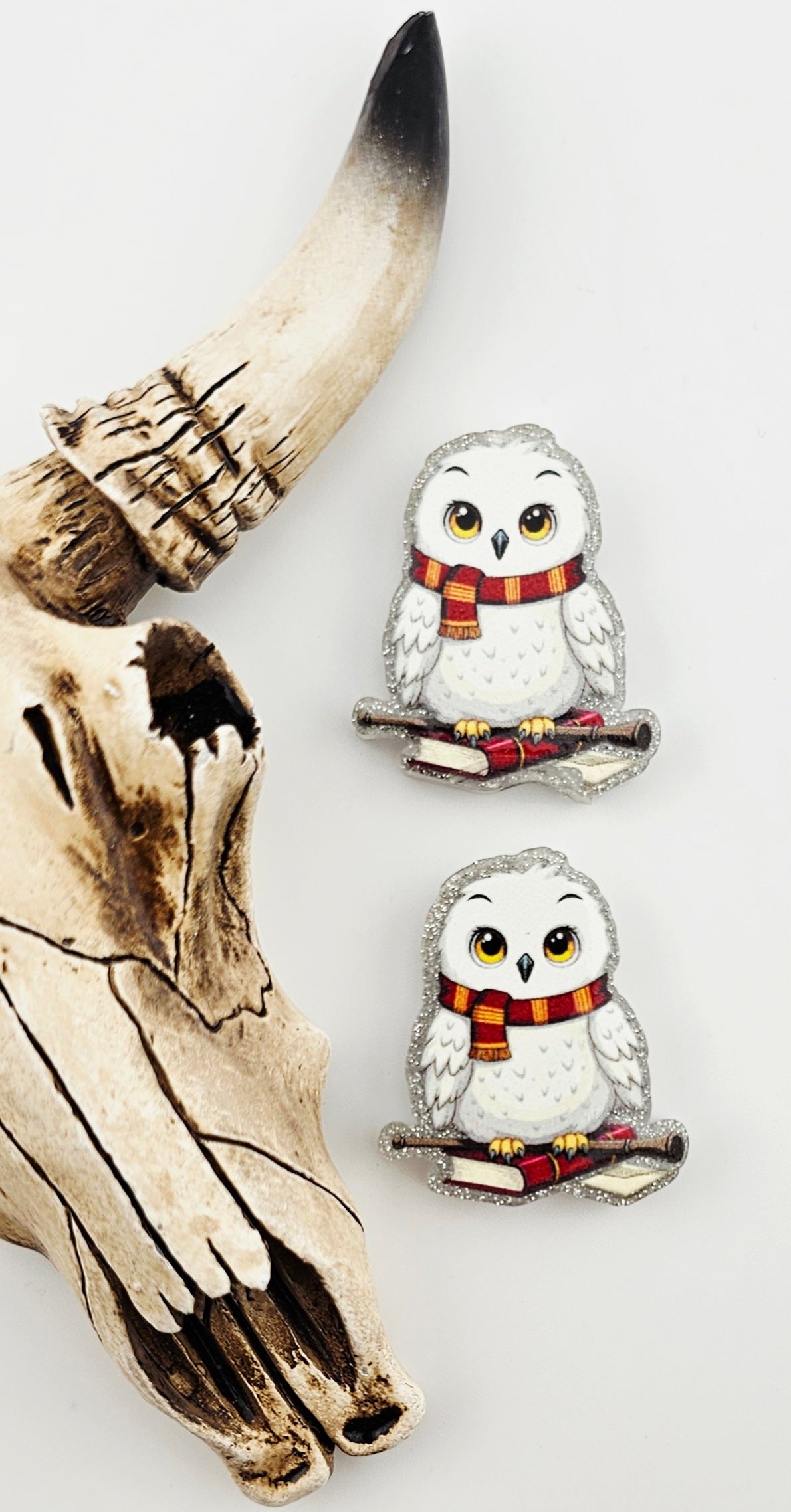 Acrylic Smart Owl Focal - AF114