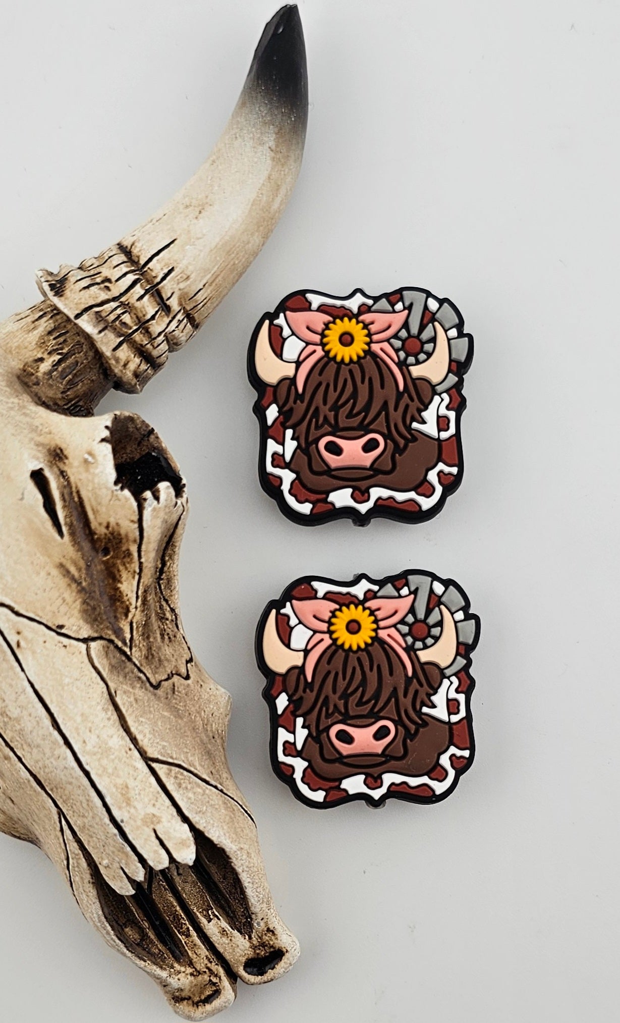 Miss Daisy Highland Cow Focal