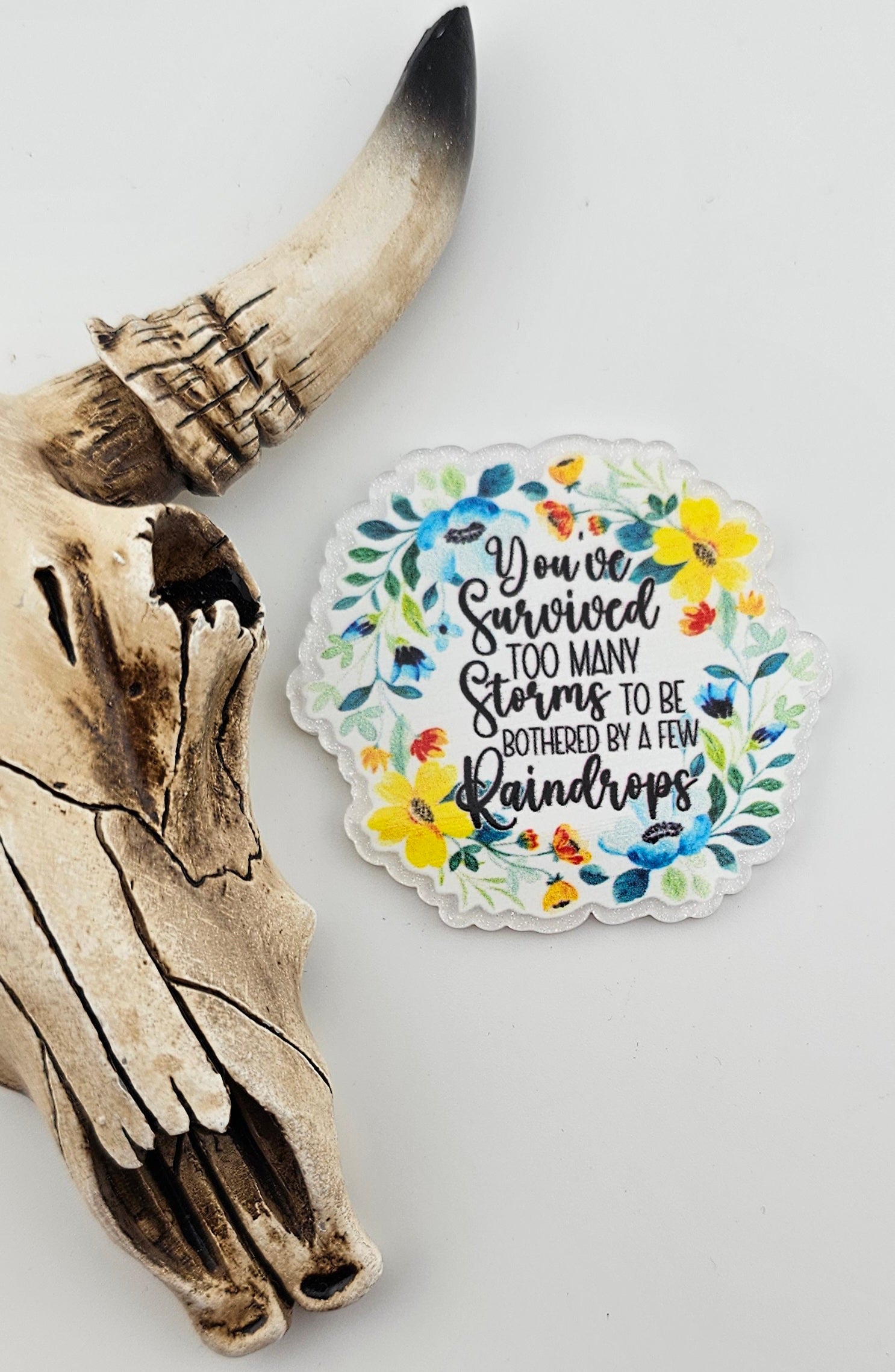 Flatback You've Survived to Many Storms 529