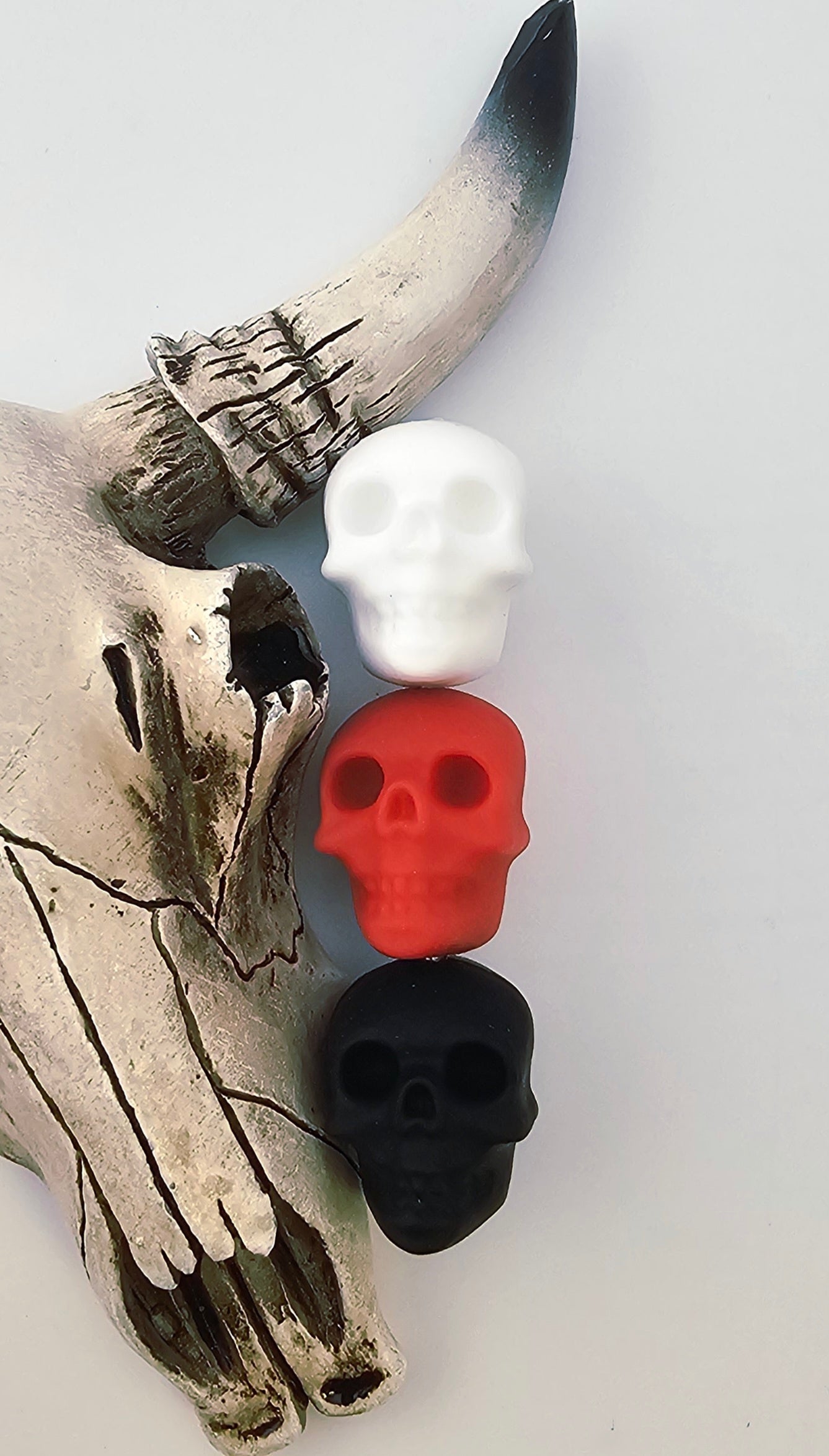 Skeleton Skull Focal