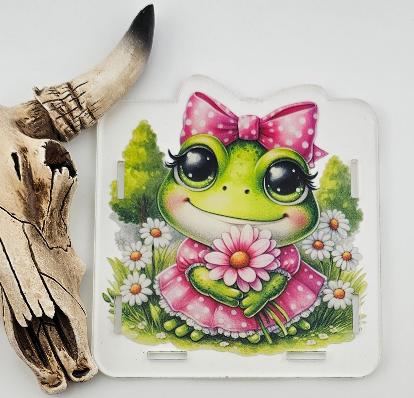 Pen Box Lilly the Frog 45