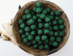 14mm Rhinestone Acrylic