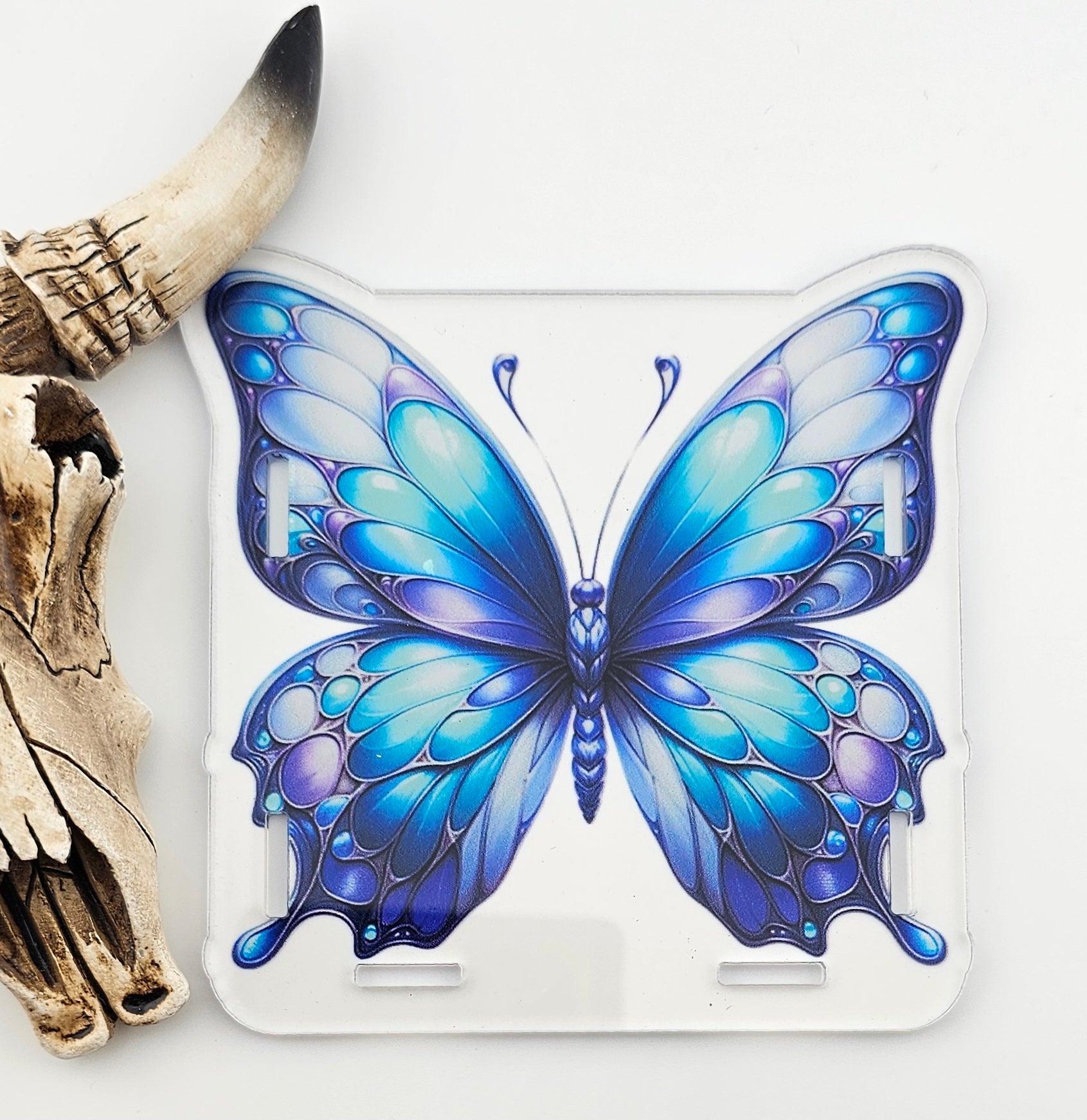 Pen Box Butterfly Passion 66
