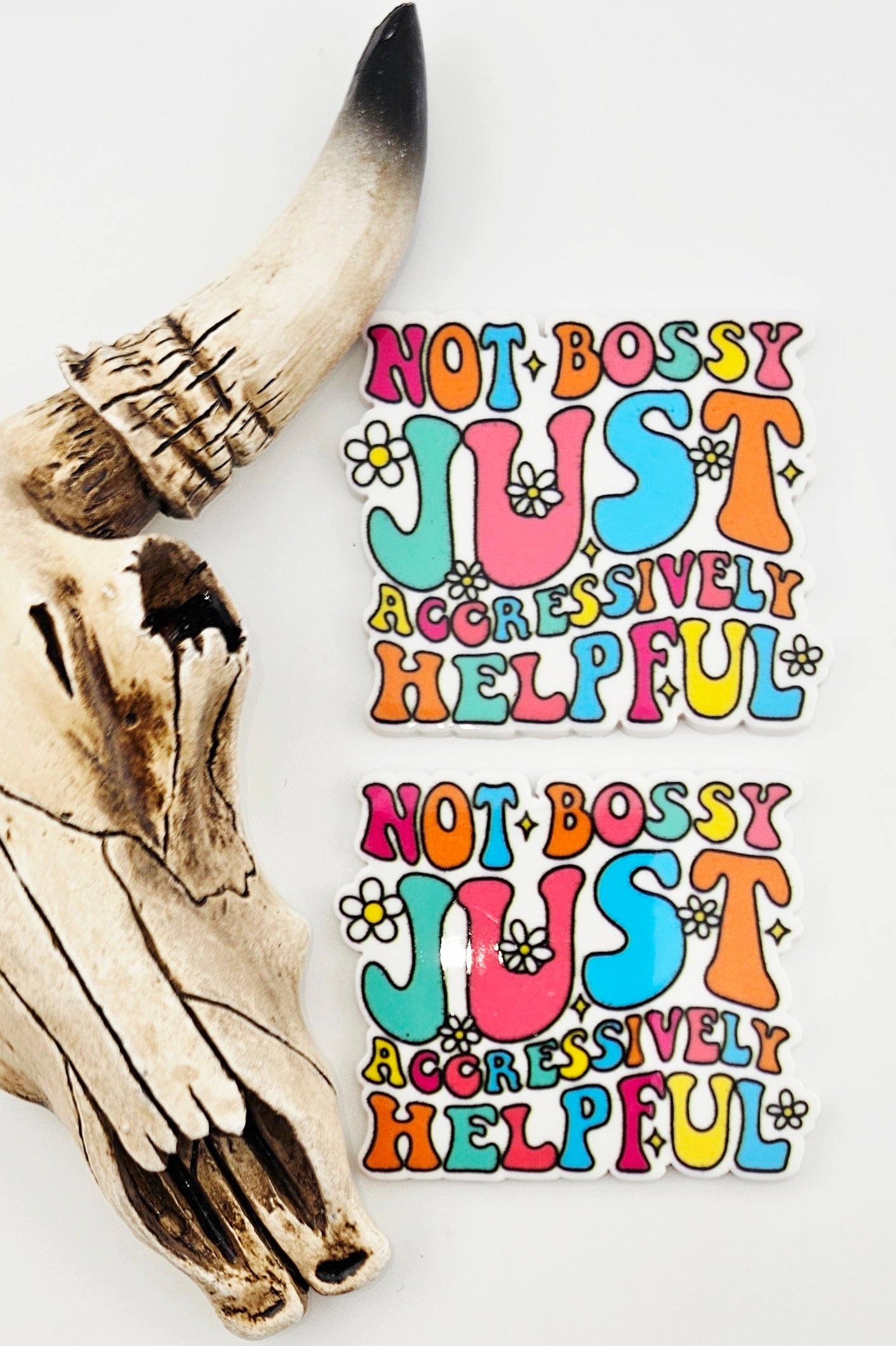 Flatback Not Bossy Just Aggressively Helpful 173