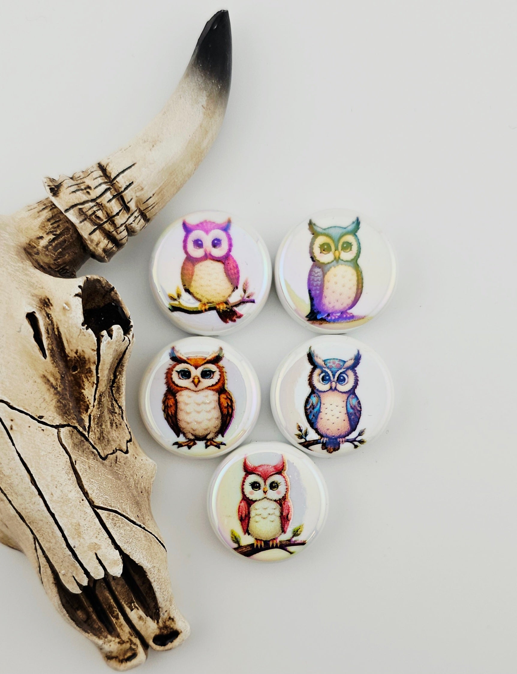 Owl Acrylic Focal 5ct Random