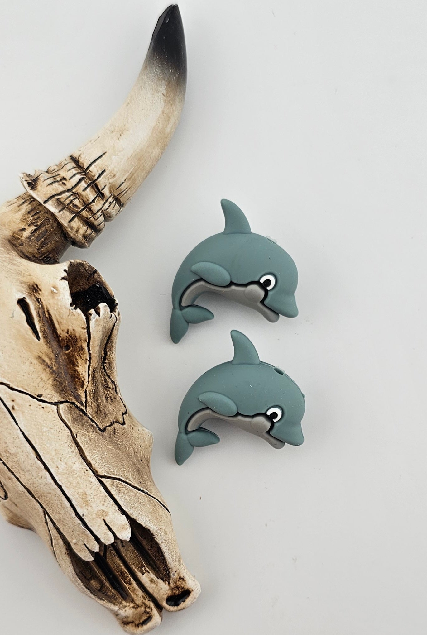 Dolphin 3D Focal