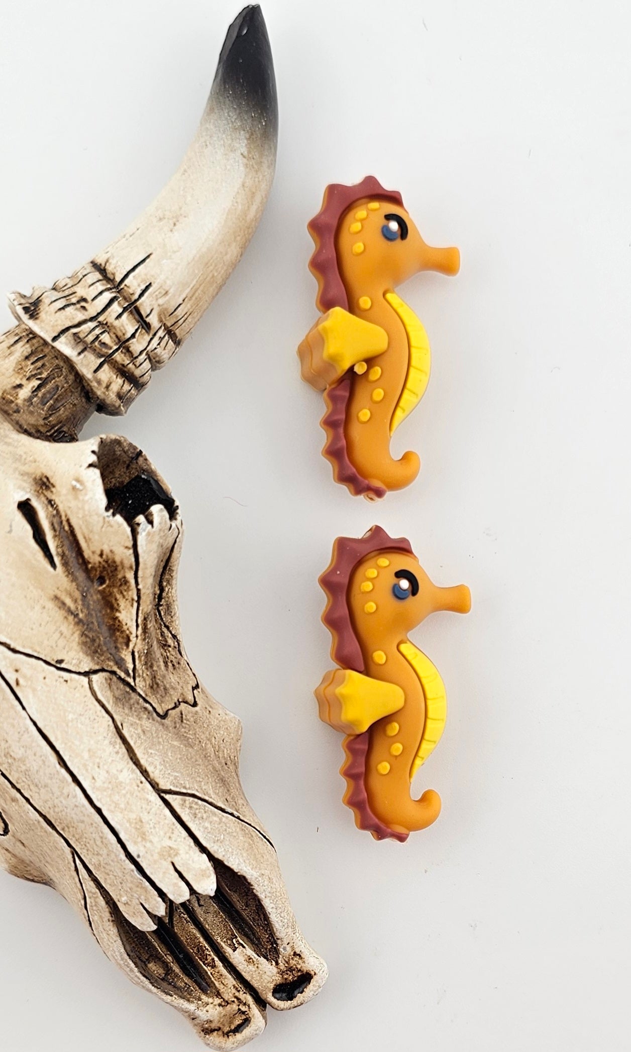 Seahorse 3D Focal