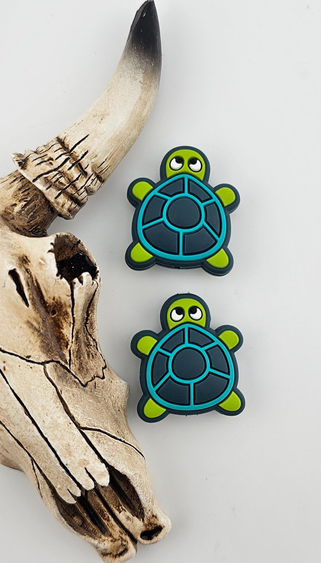Turtle Focal