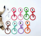 Colored Lobster Clasp Key Ring