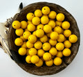#55 Mustard Liquid