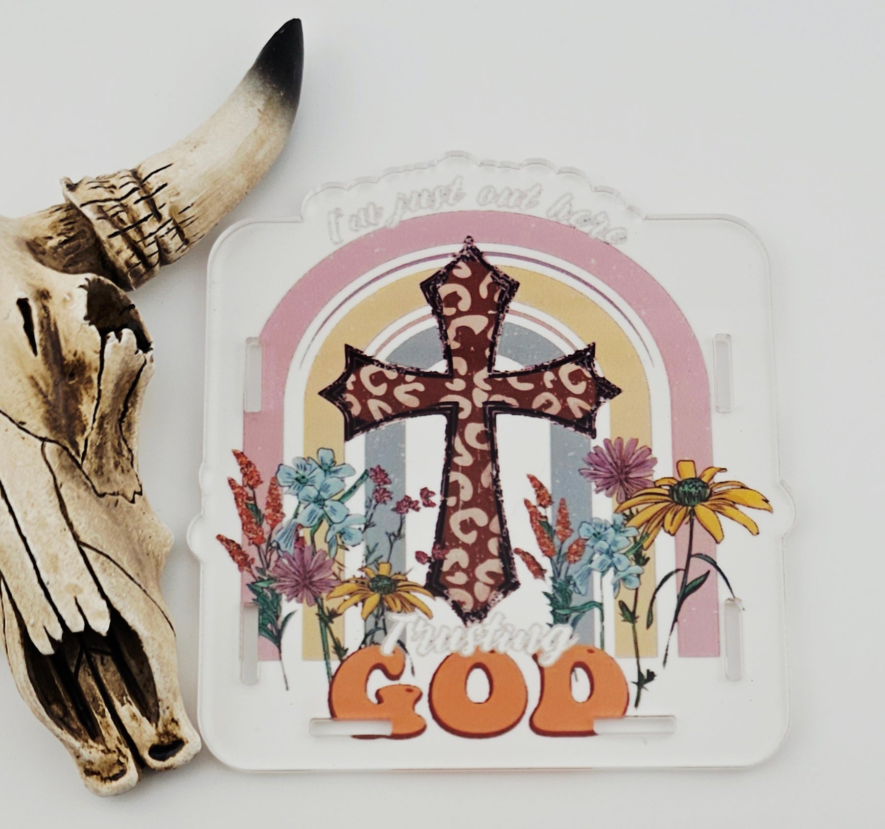 Pen Box Leopard Cross 27