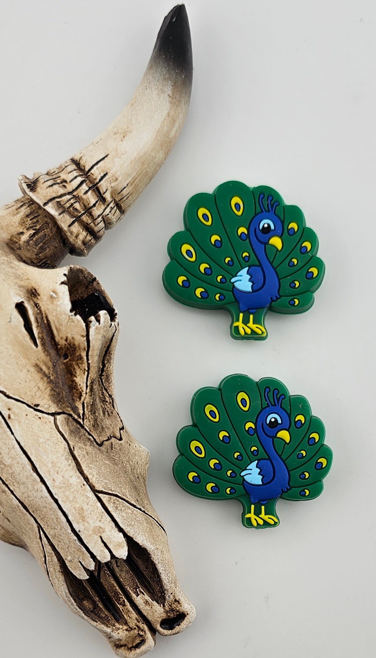 Proud Peacock Focal