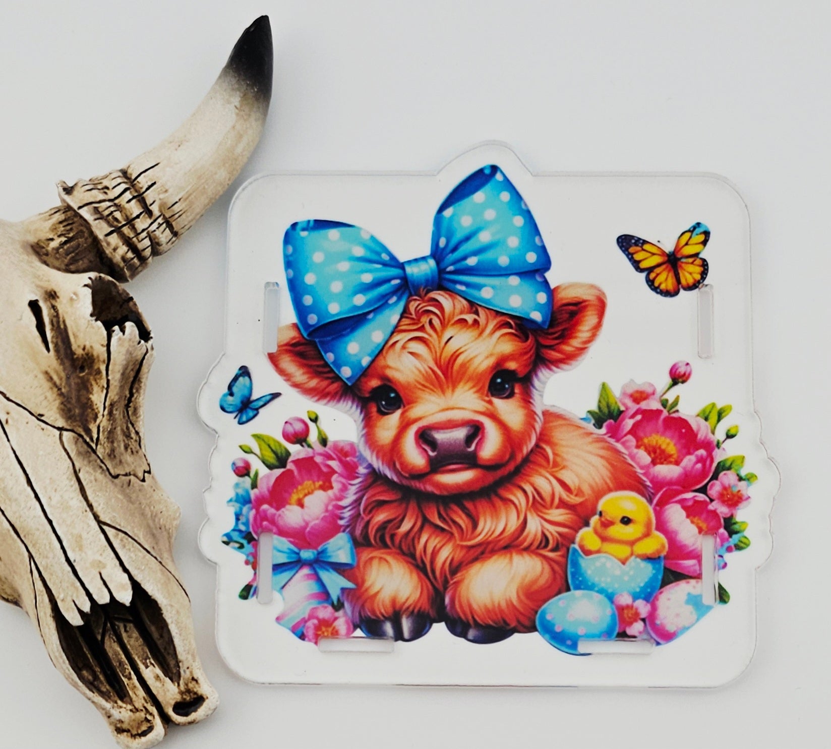 Pen Box Baby Highland Cow 7