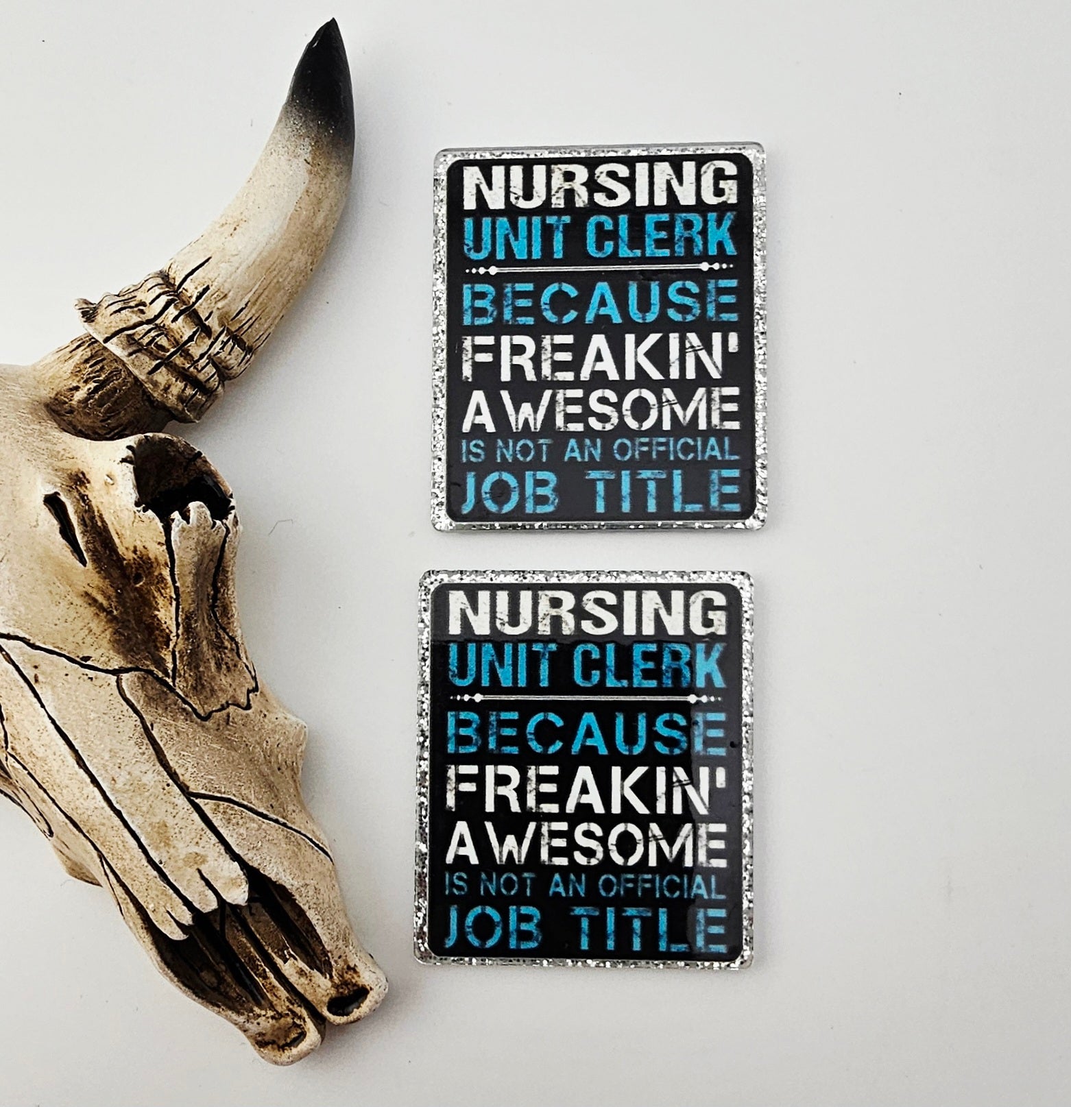 Flatback Nursing Unit Clerk 352