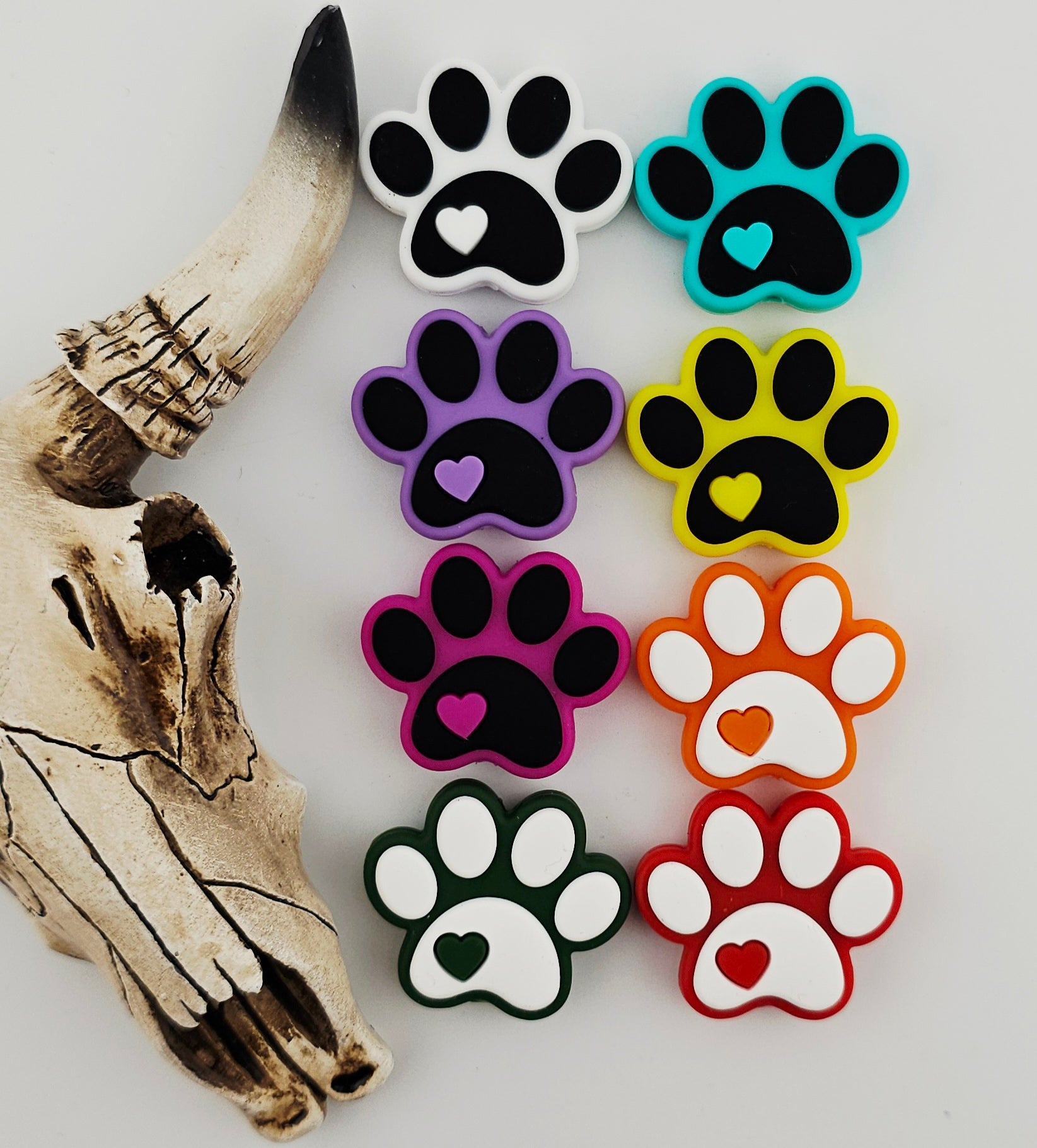 Paws of Love Focal
