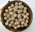 Tan Leopard Paw Print