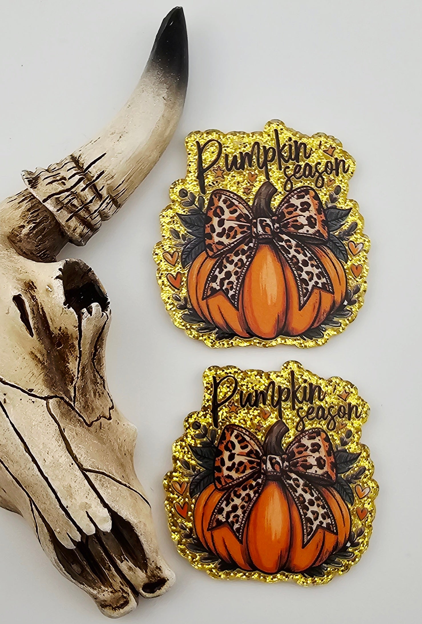 Flatback Pumpkin Season 496