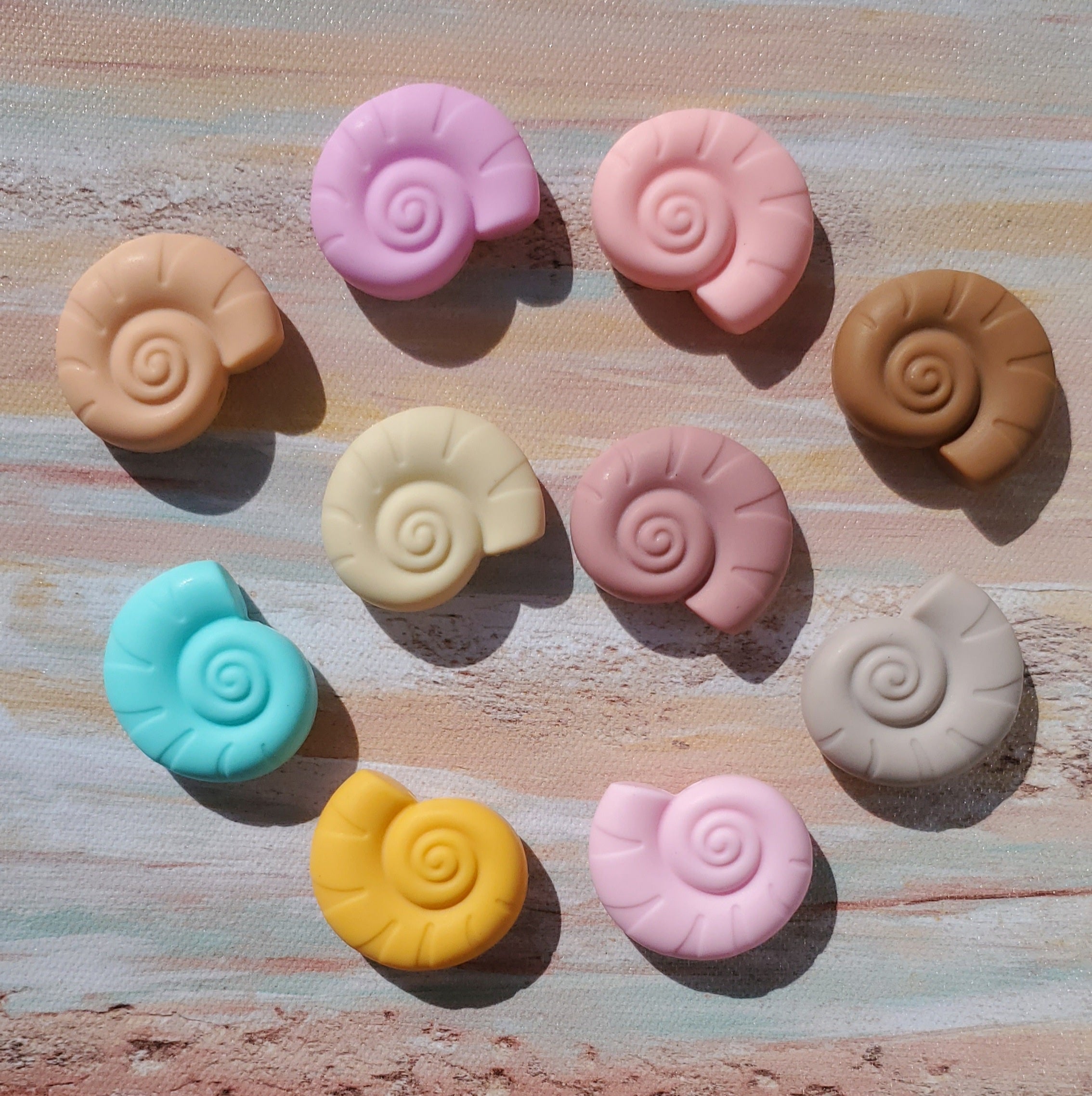 Snail Seashell Focal (Sea)