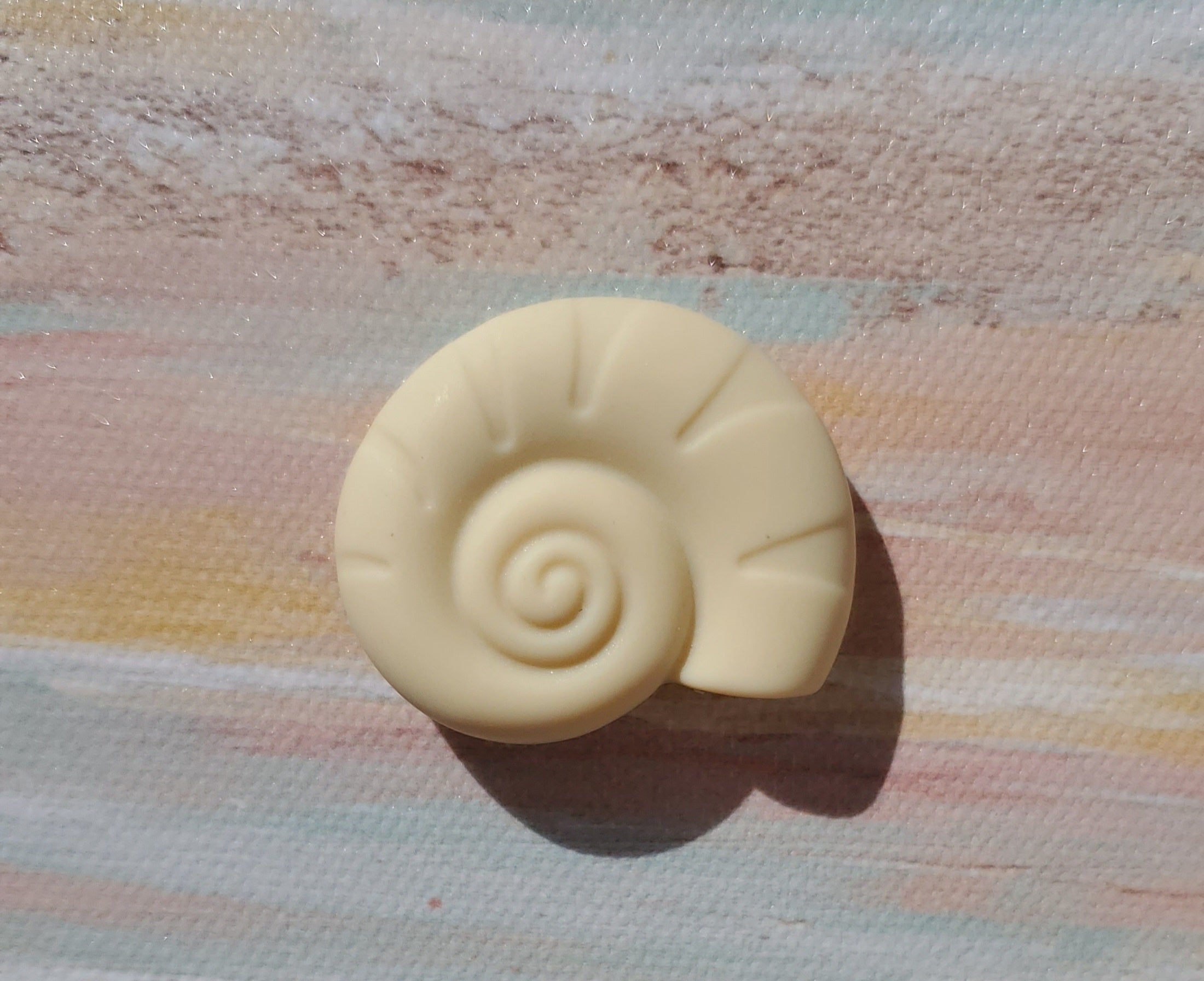 Snail Seashell Focal (Sea)