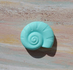 Snail Seashell Focal (Sea)
