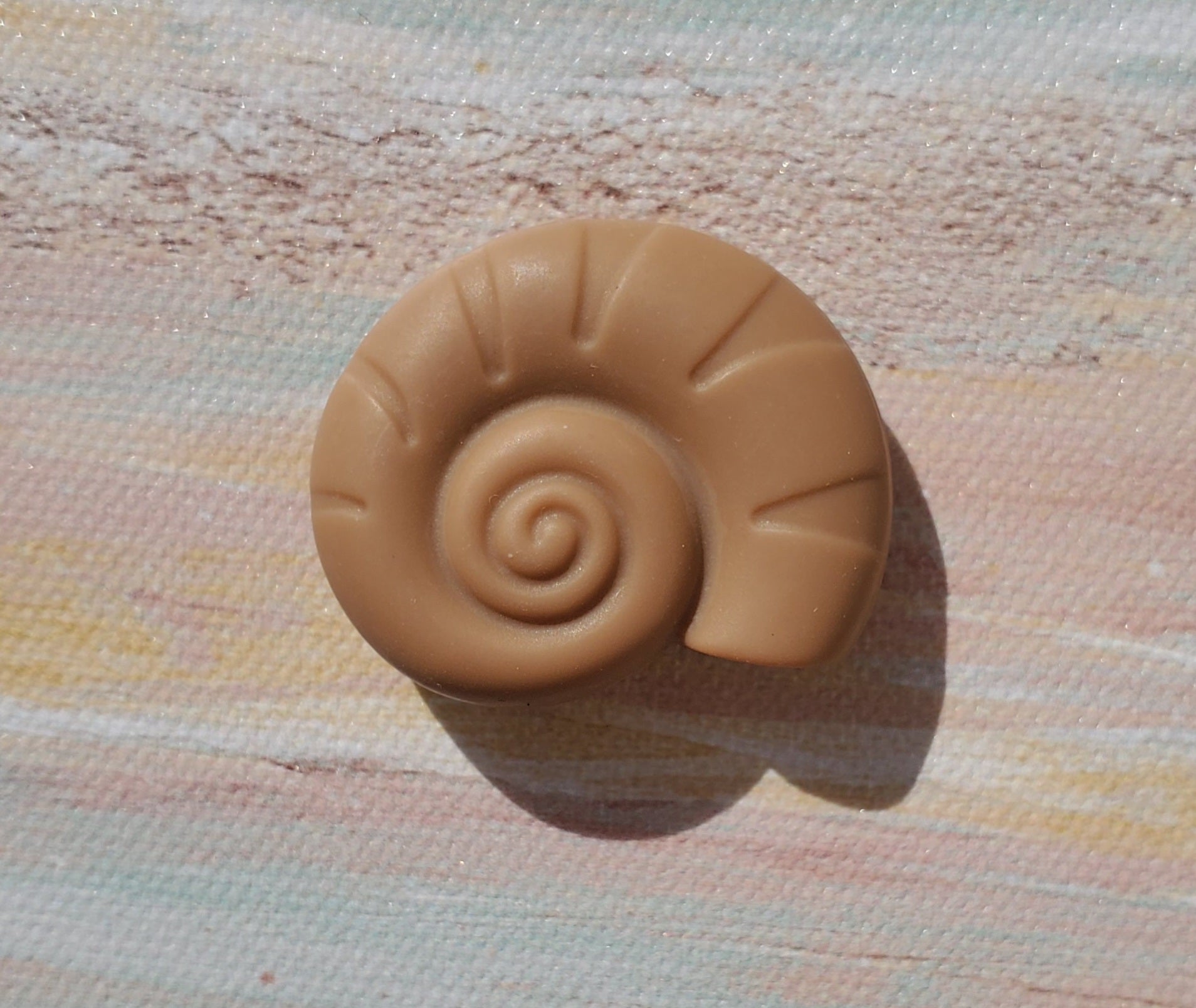 Snail Seashell Focal (Sea)