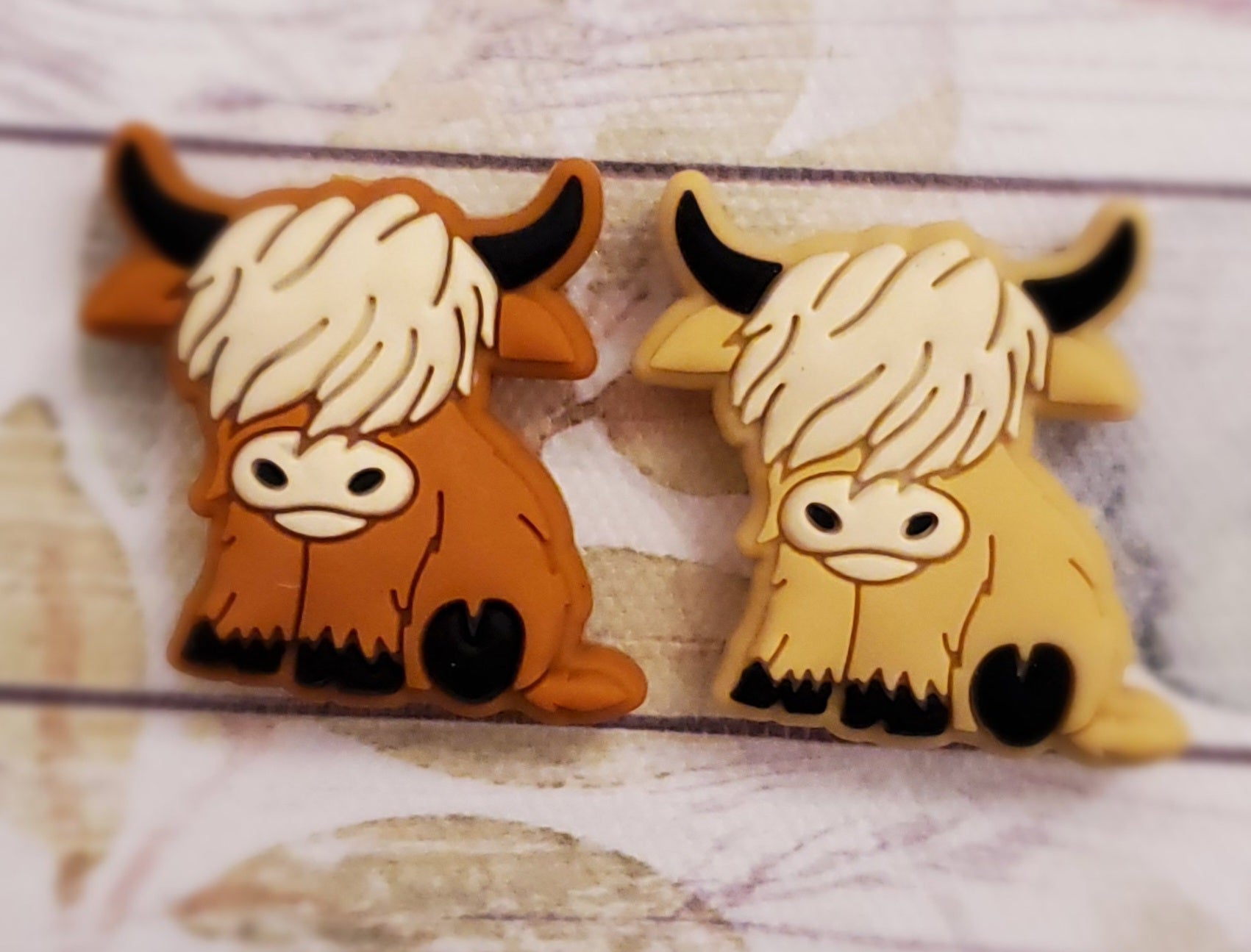Shaggy Highland Cow Focal